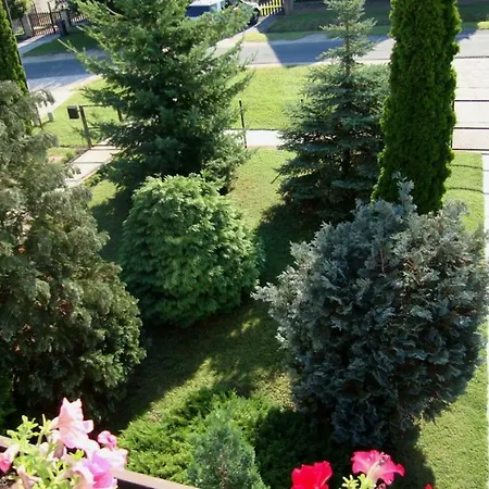 Tulipan Vendeghaz * Balatonboglar