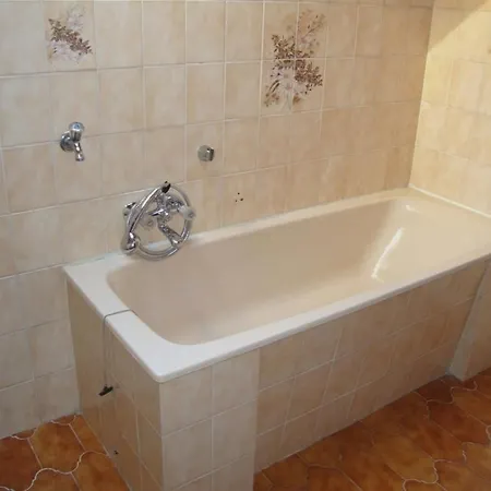 Tulipán Balatonboglár