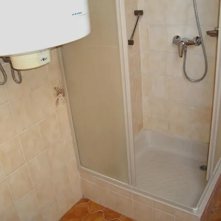 Apartment Tulipan Vendeghaz *