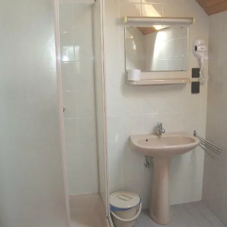 Apartment Tulipan Vendeghaz *