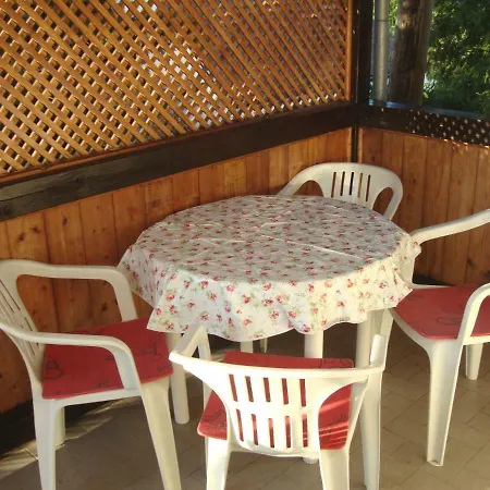 Tulipán * Balatonboglár