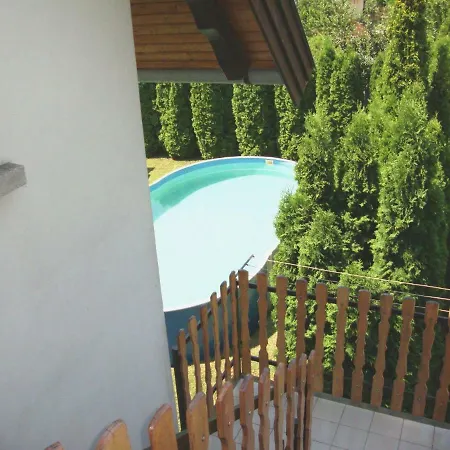 Tulipán Balatonboglár