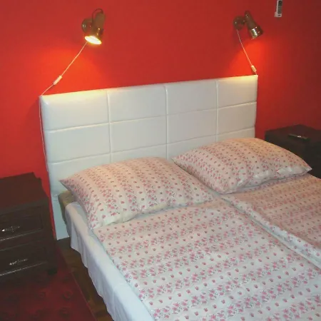 Apartment Tulipan Vendeghaz *