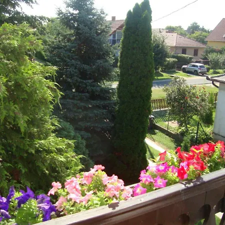 Tulipán Balatonboglár