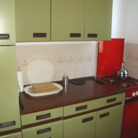 Apartment Tulipan Vendeghaz