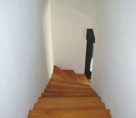 Tulipan Vendeghaz * Balatonboglár