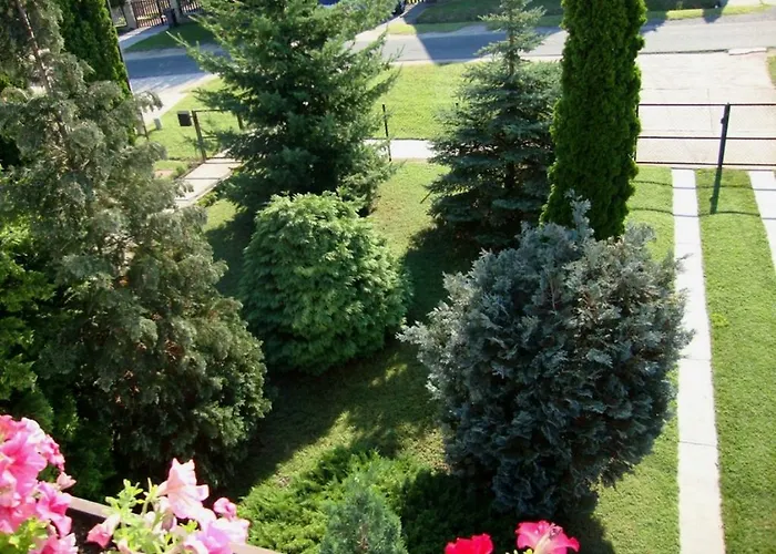 Tulipan Vendeghaz * Balatonboglár