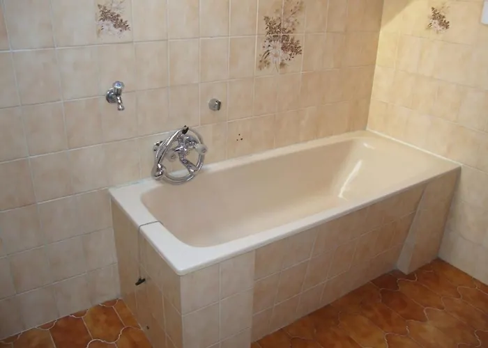 Tulipan Vendeghaz Balatonboglár