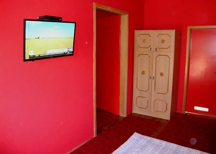 Tulipan Vendeghaz Balatonboglár