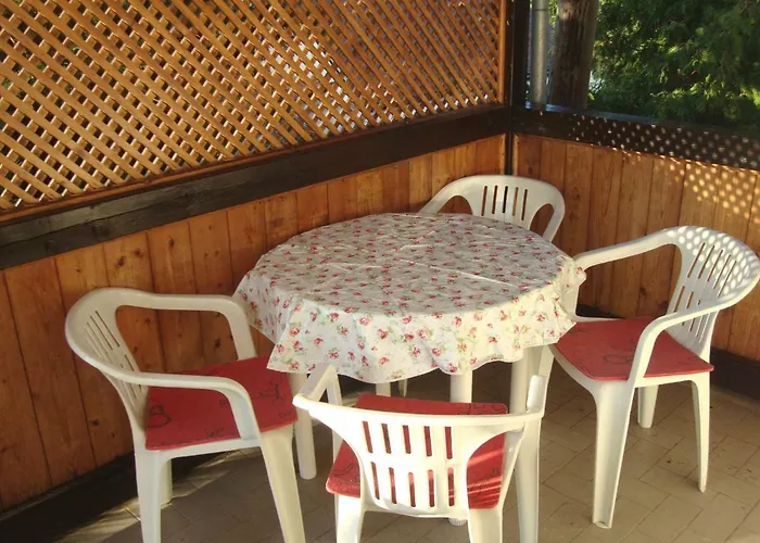 Tulipan Vendeghaz * Balatonboglár