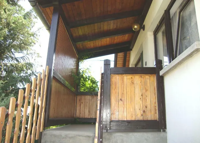 Tulipan Vendeghaz Balatonboglár