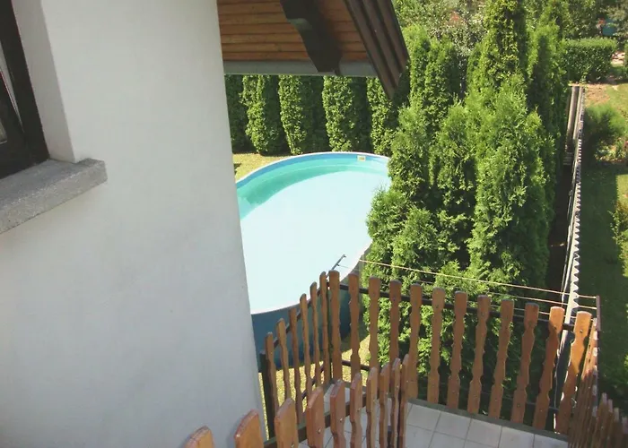 Tulipan Vendeghaz Balatonboglár