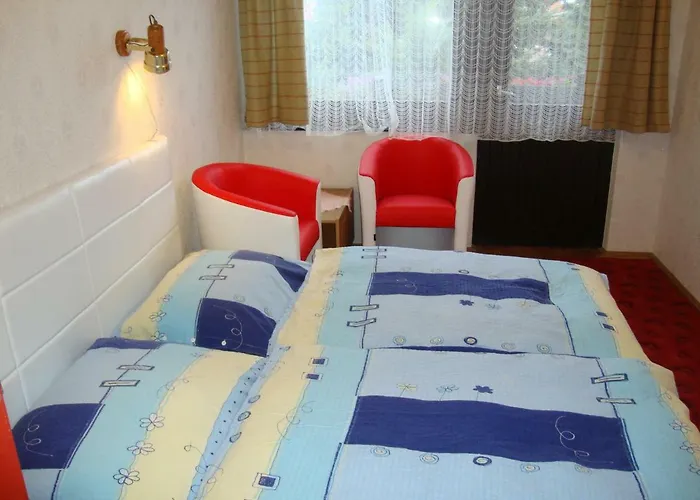 Tulipan Vendeghaz Balatonboglár