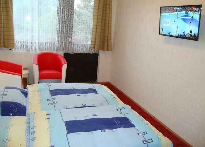 Tulipan Vendeghaz Balatonboglár