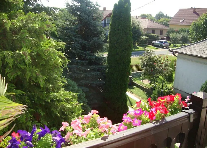 Tulipan Vendeghaz Balatonboglár