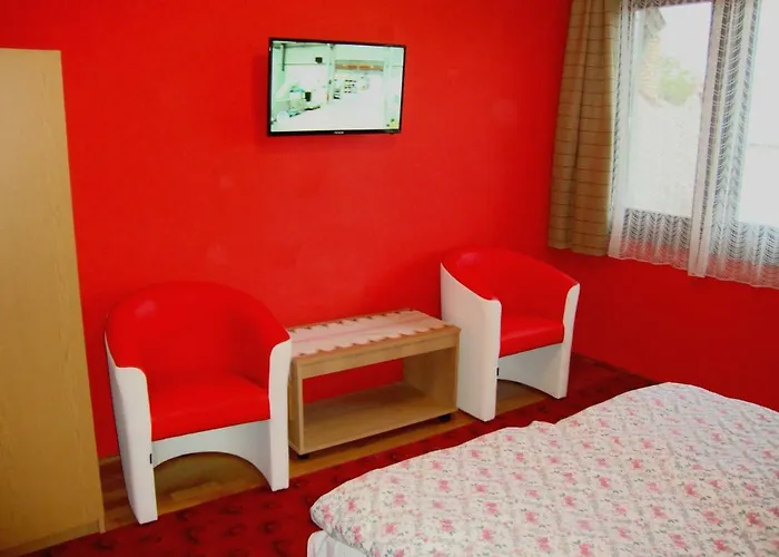 Tulipan Vendeghaz Balatonboglár